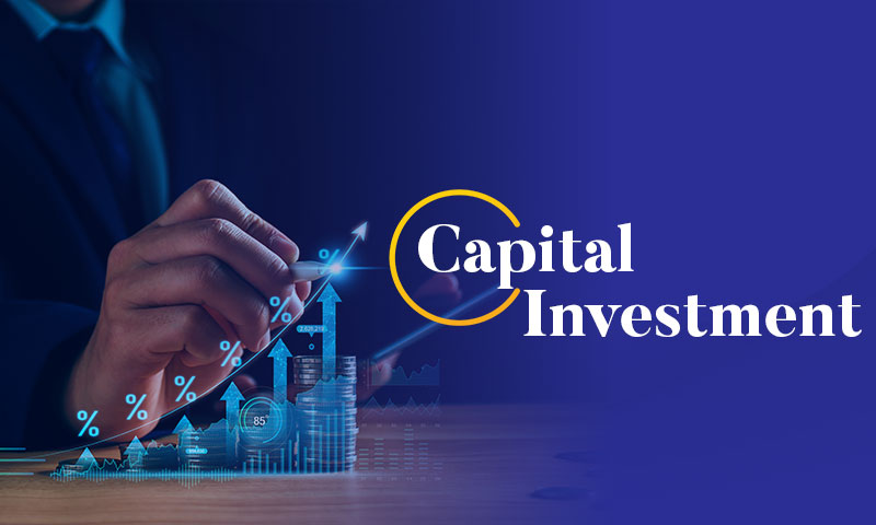Capital Investment: Meaning, Types, and How it Works 